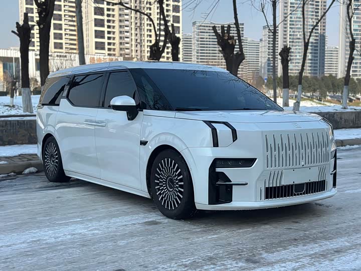 Фото 3 - Zeekr 009