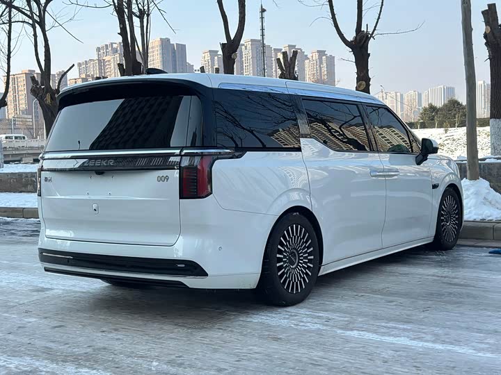 Фото 4 - Zeekr 009