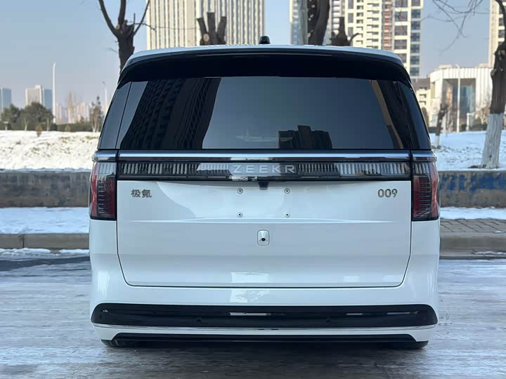 Фото 6 - Zeekr 009