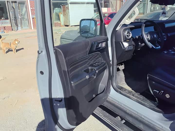 Фото 7 - Tank 300