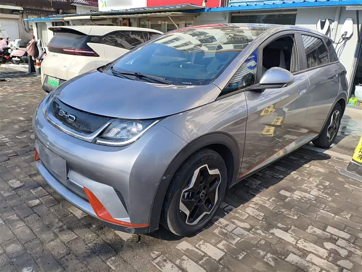 Фото 2 - BYD Dolphin