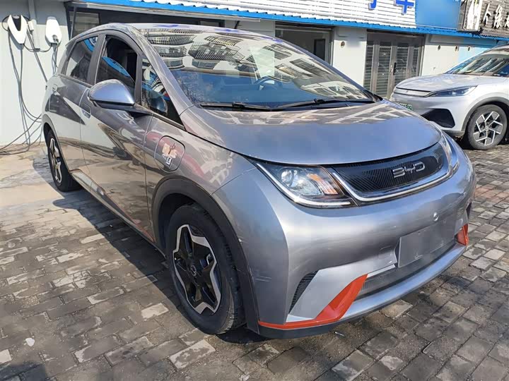 Фото 4 - BYD Dolphin