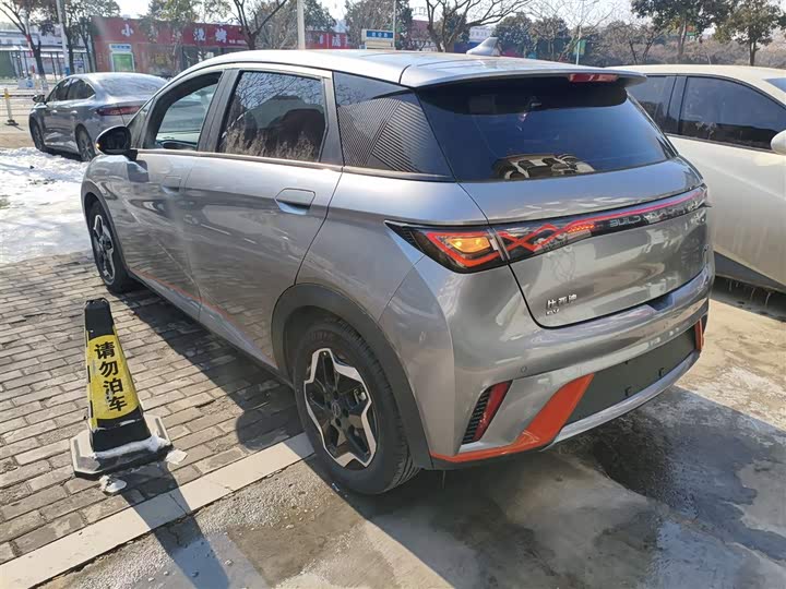 Фото 5 - BYD Dolphin