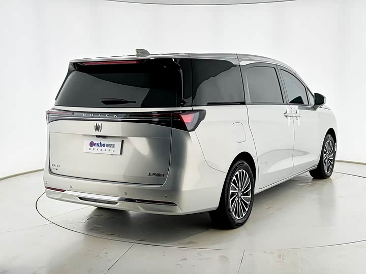 Фото 3 - Buick GL8 Hybrid