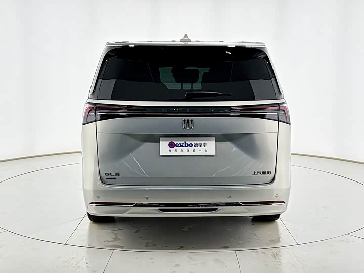 Фото 4 - Buick GL8 Hybrid