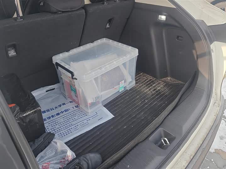 Фото 4 - Honda XR-V