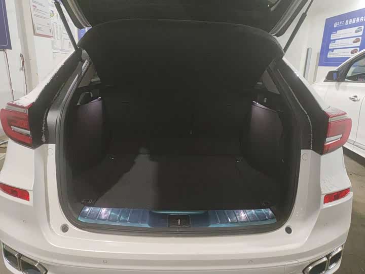 Фото 5 - Honda Avancier