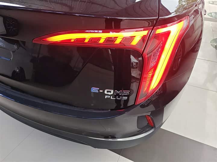 Фото 8 - Hongqi E-QM5