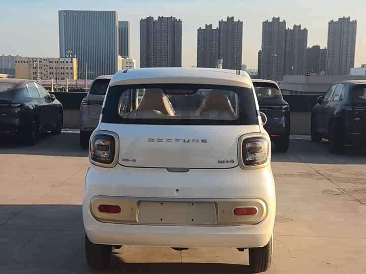 Фото 5 - Bestune Pony