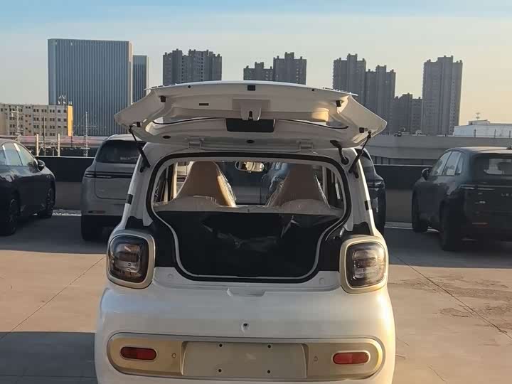 Фото 8 - Bestune Pony