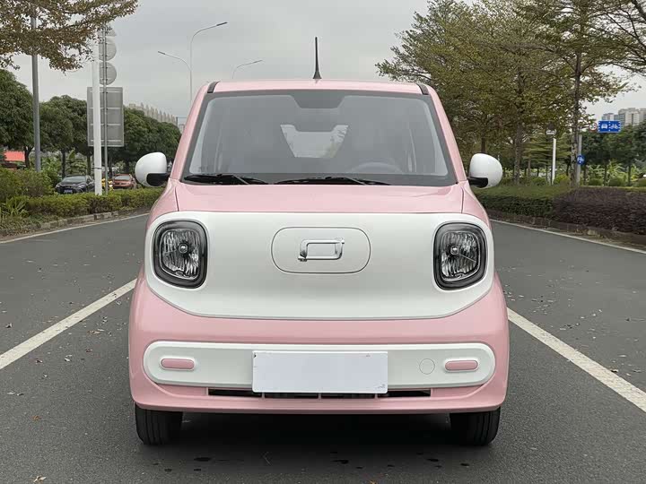 Фото 2 - Bestune Pony