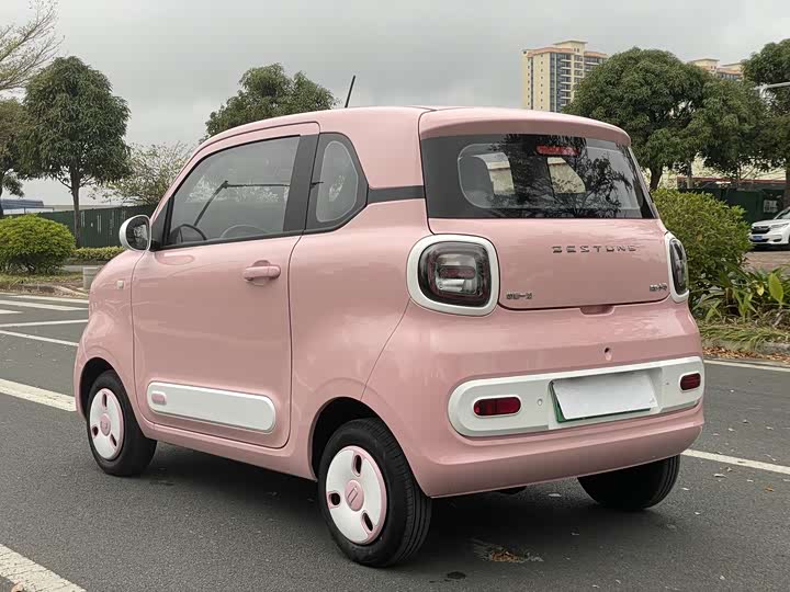 Фото 6 - Bestune Pony