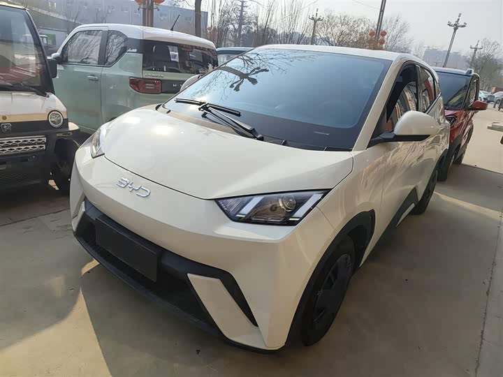 Фото 2 - BYD Seagull