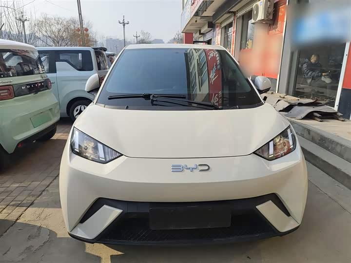 Фото 3 - BYD Seagull