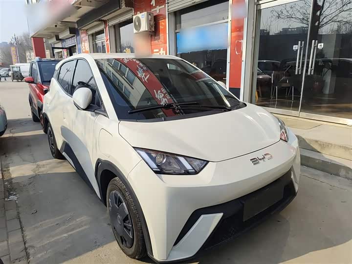 Фото 4 - BYD Seagull