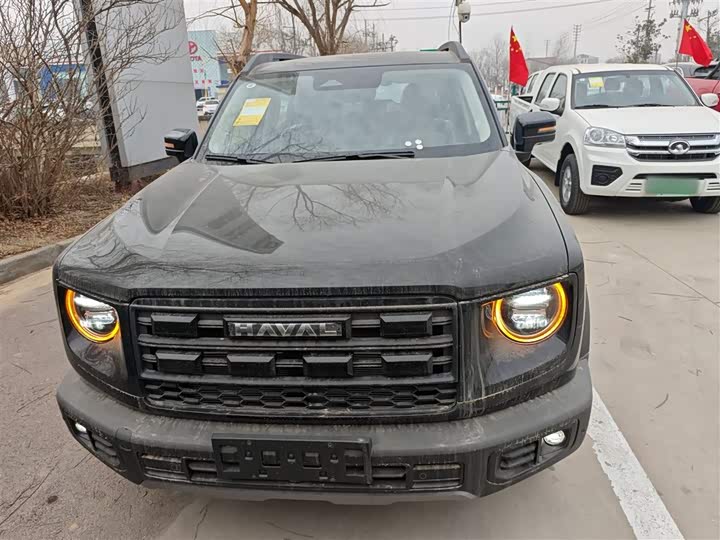 Фото 3 - Haval Dargo