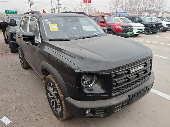 Фото 4 - Haval Dargo