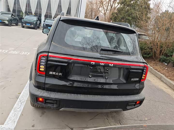 Фото 6 - Haval Dargo