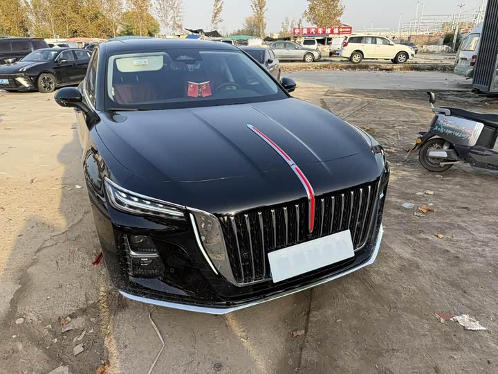 Фото 3 - Hongqi H5