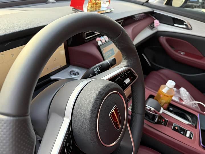 Фото 9 - Hongqi H5