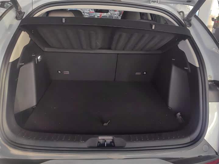 Фото 4 - BYD Yuan Plus