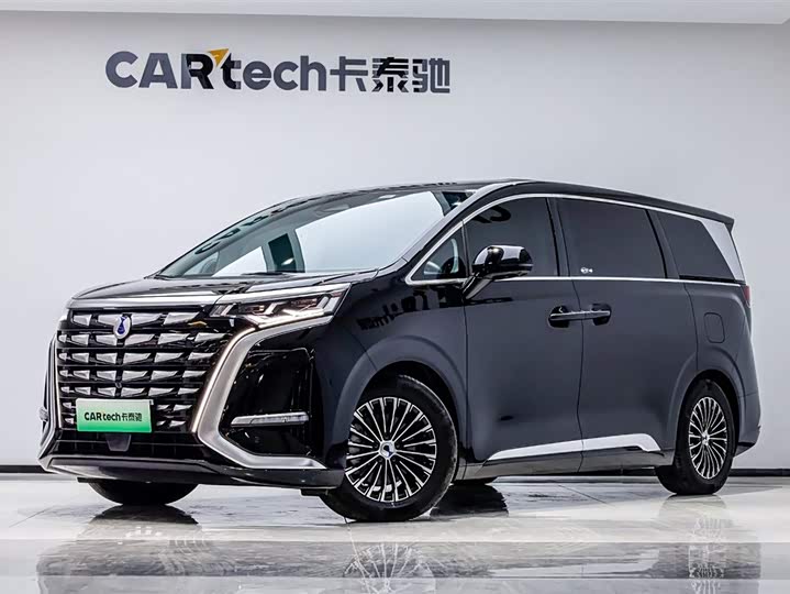 Фото 1 - Denza D9