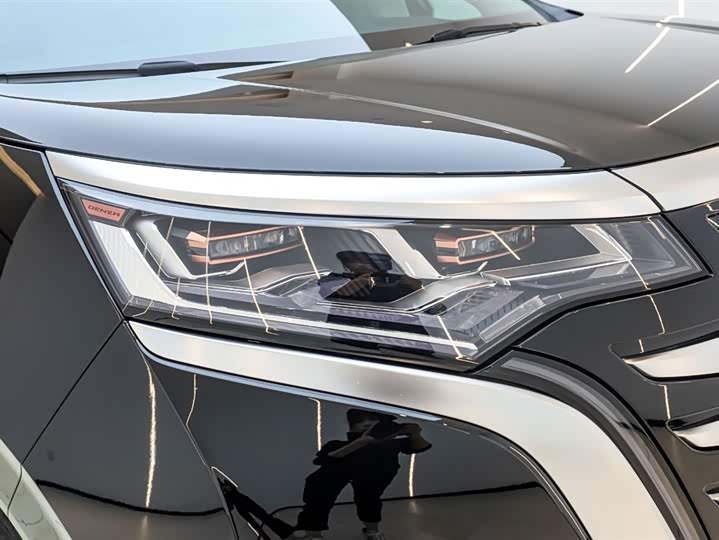 Фото 2 - Denza D9