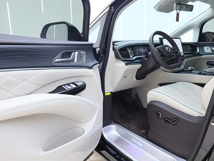 Фото 3 - Denza D9