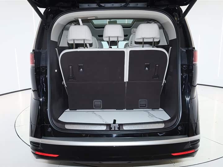 Фото 6 - Denza D9