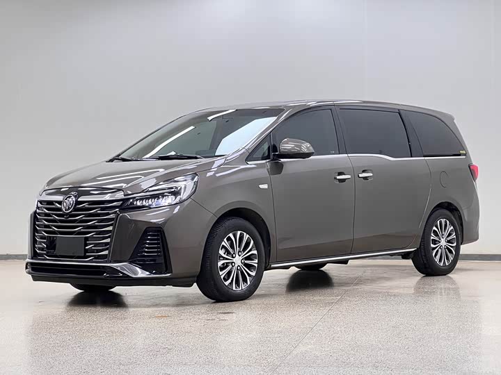 Фото 1 - Buick GL8 ES