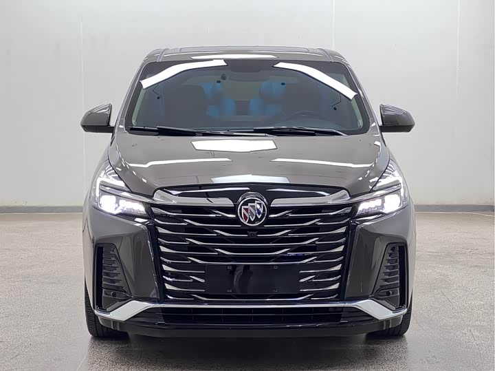 Фото 2 - Buick GL8 ES