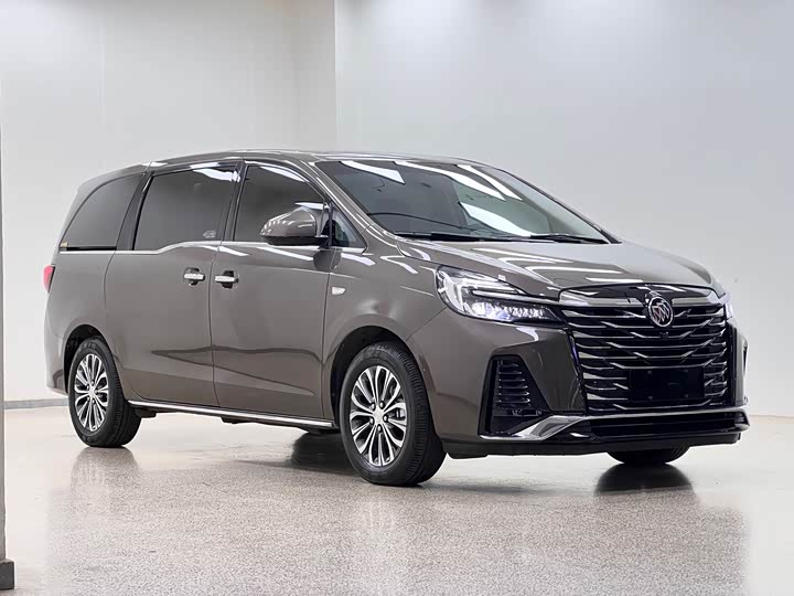 Фото 3 - Buick GL8 ES