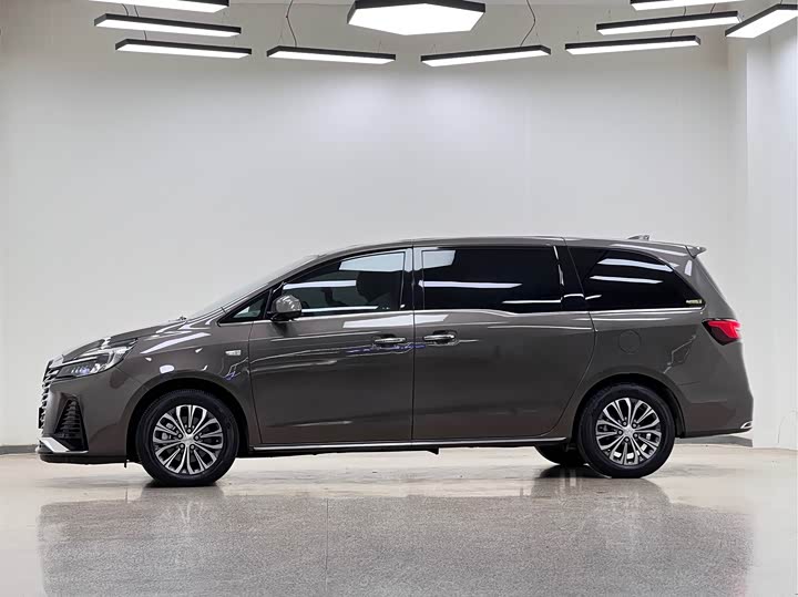 Фото 4 - Buick GL8 ES