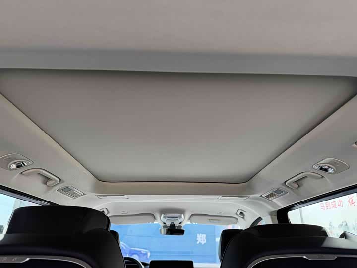 Фото 6 - Hongqi HQ9 Hybrid