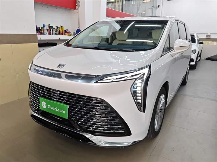 Фото 2 - Buick GL8 Century