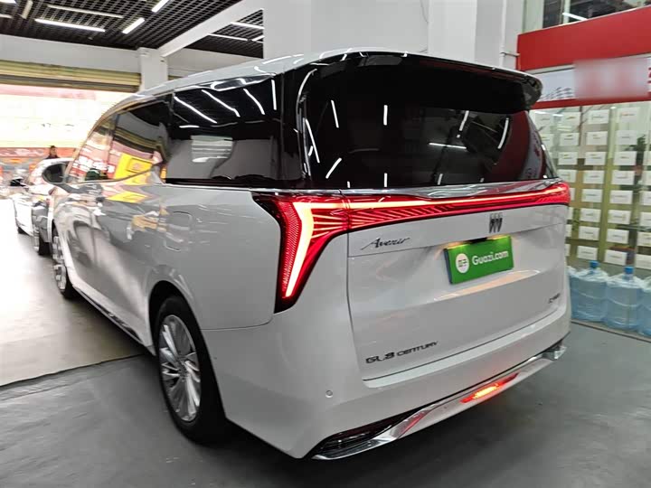 Фото 5 - Buick GL8 Century