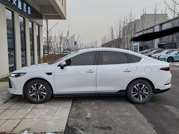 Фото 3 - BYD Qin Plus