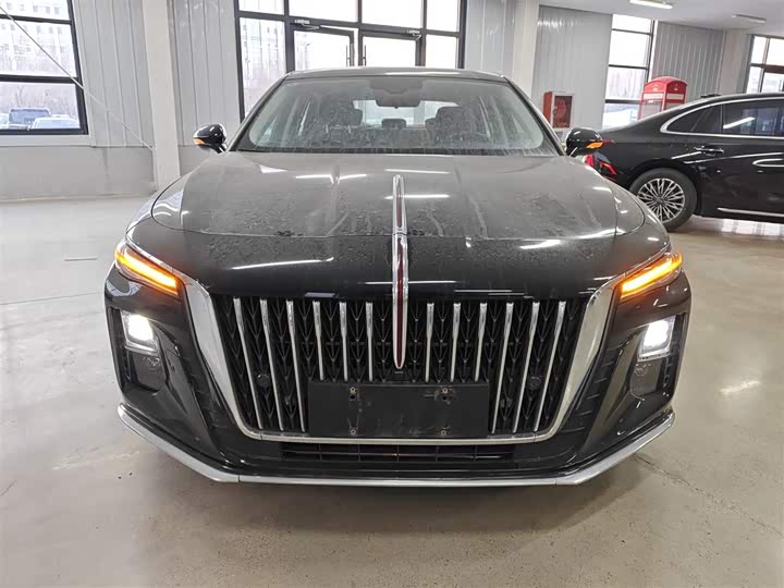 Фото 3 - Hongqi H5