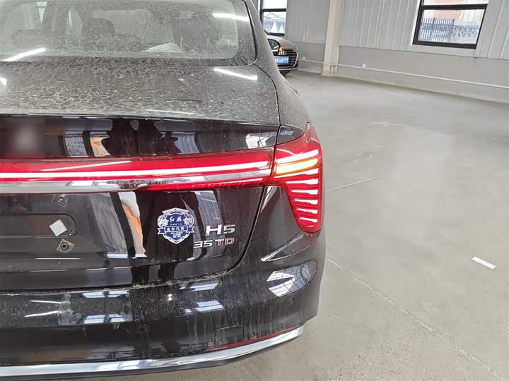 Фото 8 - Hongqi H5