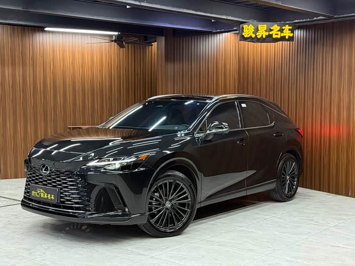 Фото 1 - Lexus RX