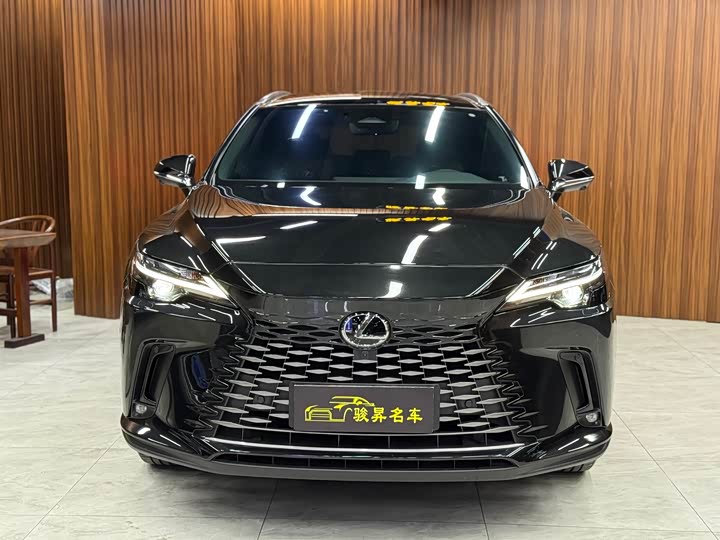 Фото 2 - Lexus RX