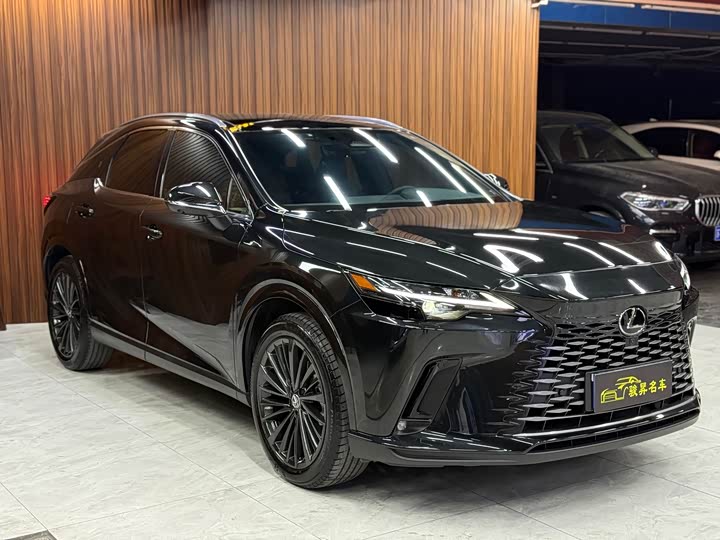 Фото 3 - Lexus RX