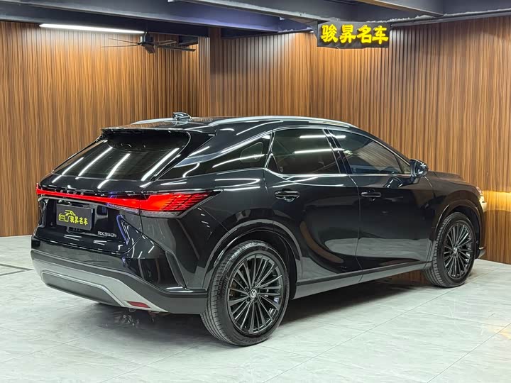 Фото 4 - Lexus RX