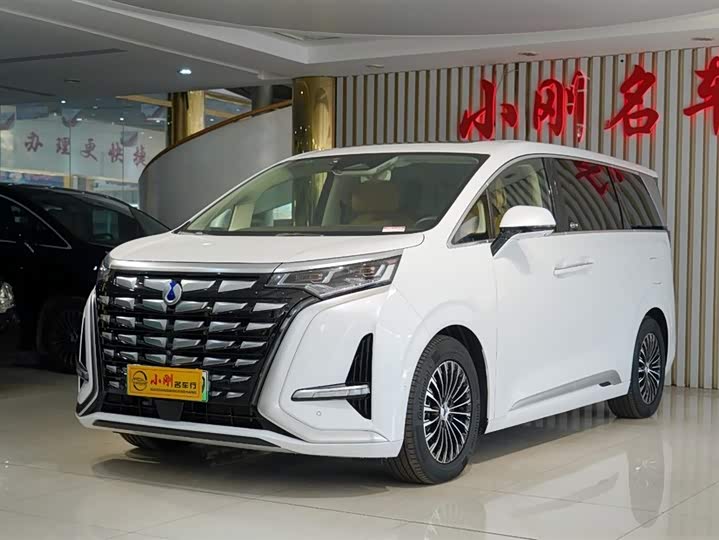 Фото 2 - Denza D9