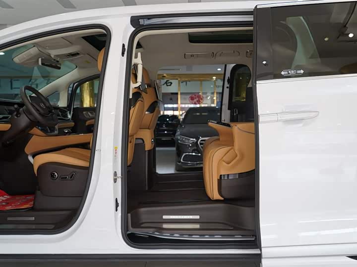 Фото 6 - Denza D9