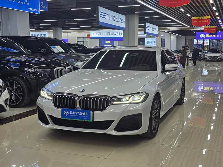 Фото 1 - BMW 5 Series Hybrid