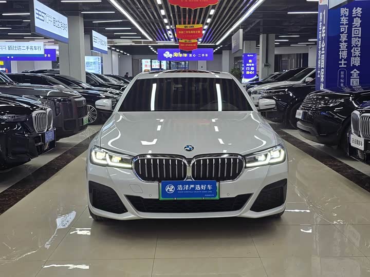 Фото 2 - BMW 5 Series Hybrid