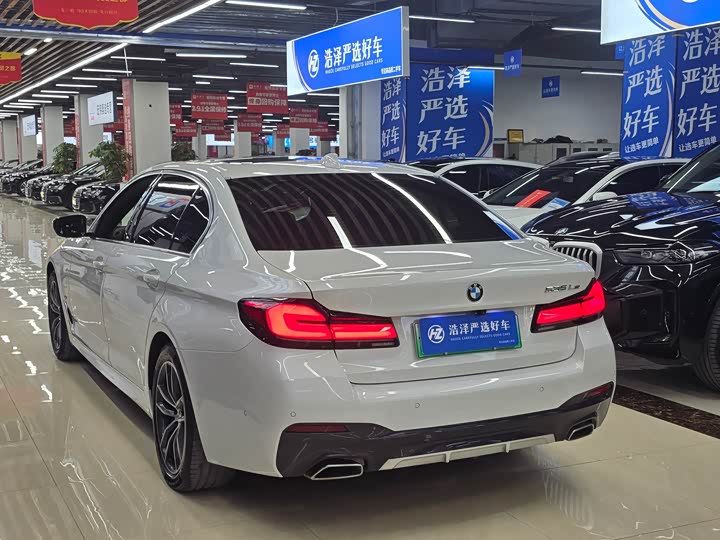 Фото 4 - BMW 5 Series Hybrid