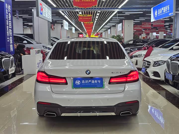 Фото 5 - BMW 5 Series Hybrid