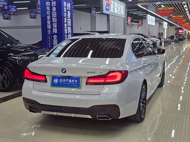 Фото 6 - BMW 5 Series Hybrid